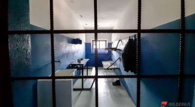 Адвокат об ужесточении наказания для педофилов: «Пожизненный срок не изменит их поведение»