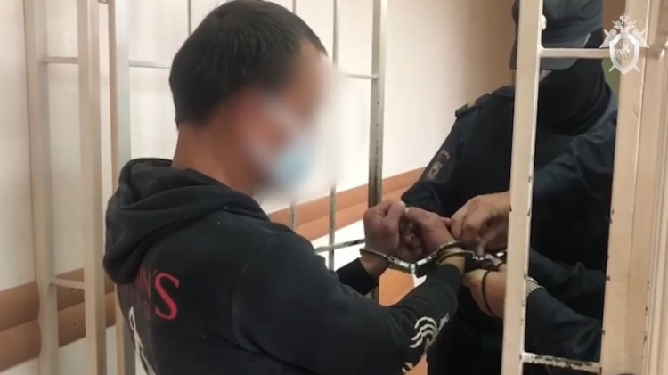 Напавший на школьницу признался, что хотел ее изнасиловать