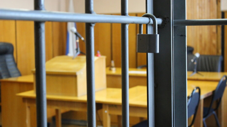 Педофил надругался над девятилетней девочкой в Барнауле