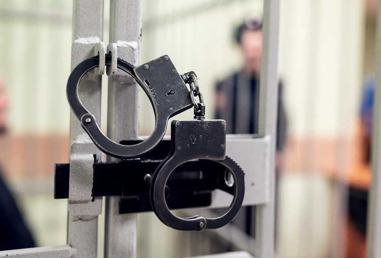 Суд приговорил педофила из Подмосковья к 12 годам колонии строгого режима