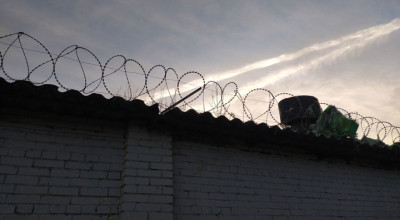 В Общественной палате предложили создать реестр педофилов