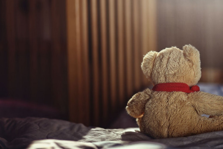 СК РФ поддержал идею создания реестра педофилов