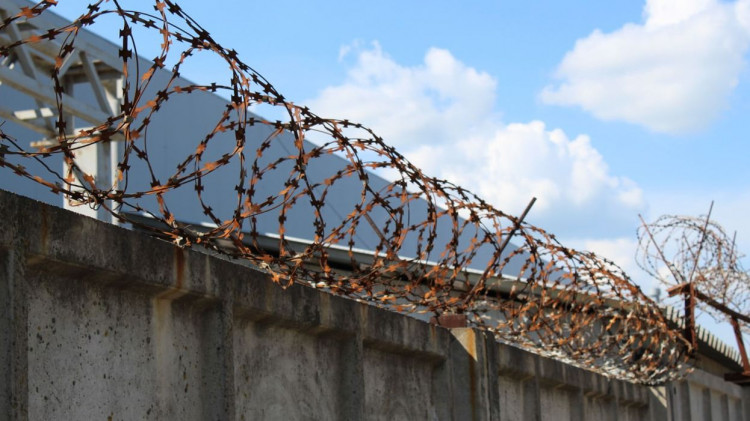 Пойманного на дереве наркомана-педофила отправили на 15 лет в колонию в Омске Пойманного на дереве наркомана-педофила отправили на 15 лет в колонию в Омске