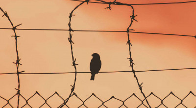 Труп психически больного педофила нашли в магнитогорской колонии