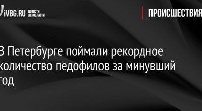 В Петербурге поймали рекордное количество педофилов за минувший год