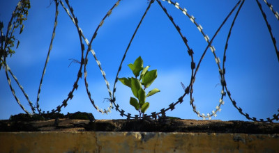 Петербургский суд арестовал пожилого педофила за приставания к девочке на Гражданском