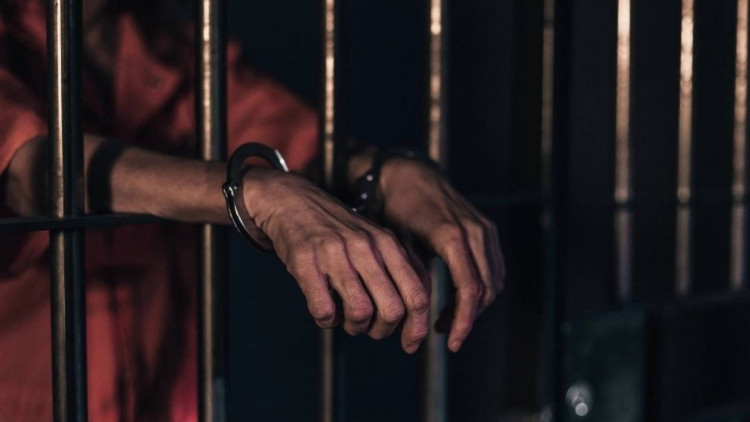 Активистка Левченко объяснила, избавит ли пожизненное заключение общество от педофилов