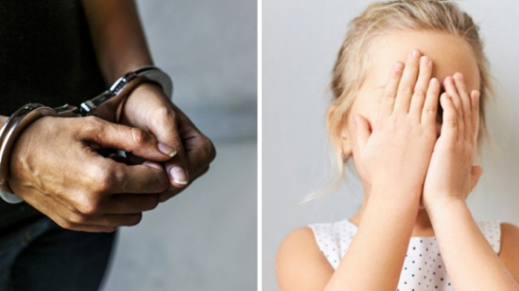 Костромич предстанет перед судом за совращение малолетних