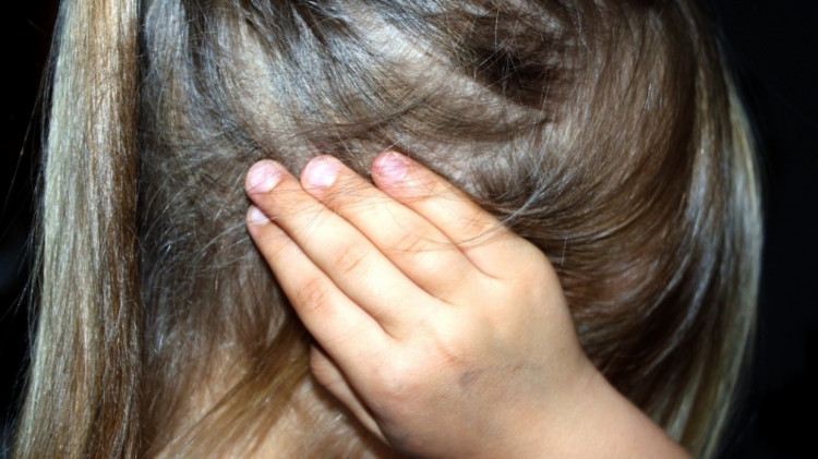 Педофилу из Алтайского края предъявили обвинение в надругательстве над 12-летней школьницей