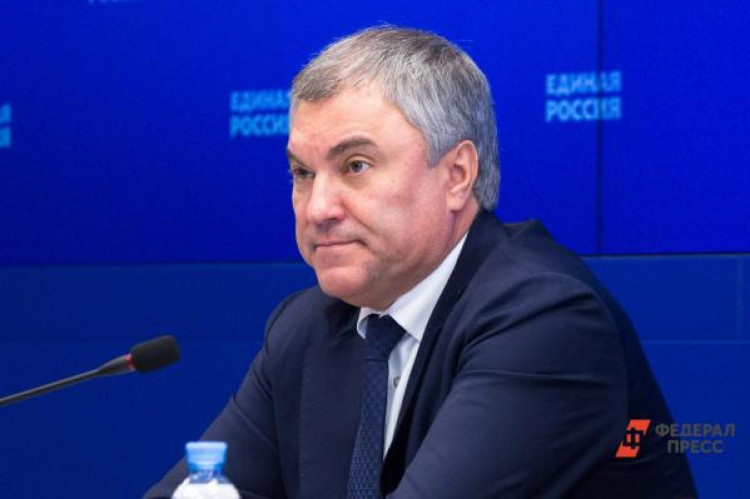 Володин возмутился новым наказанием для педофилов