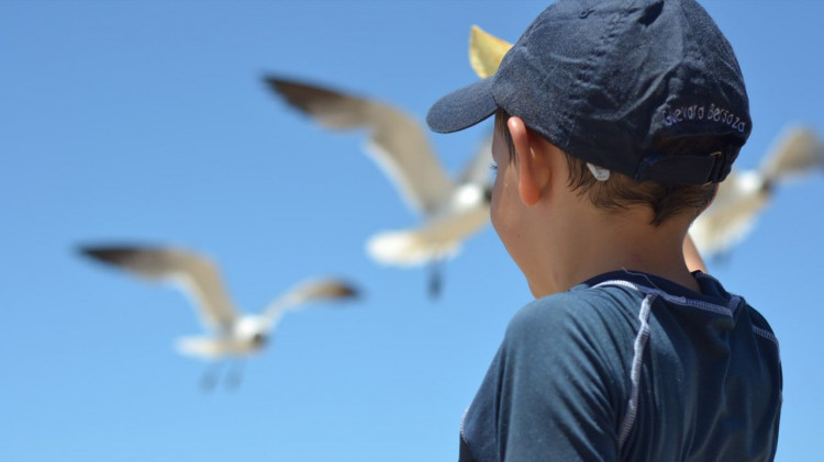 В Барнауле странный мужчина приставал к детям на детской площадке