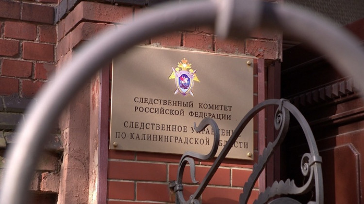 В Калининградской области осудили педофила за надругательство над 13 мальчиками