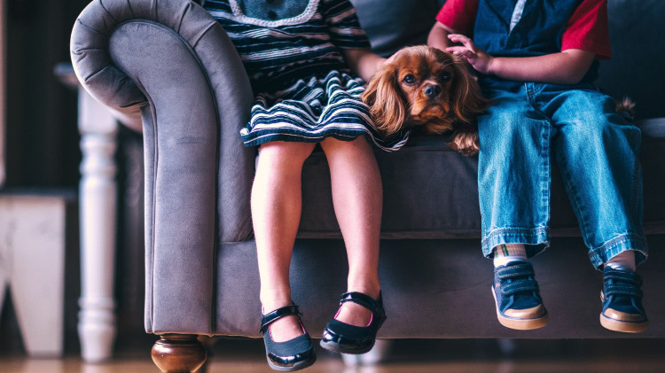 Дедушка насиловал двух внучек в Подмосковье за подарки и собирал фото девочек в купальниках Дедушка насиловал двух внучек в Подмосковье за подарки и собирал фото девочек в купальниках