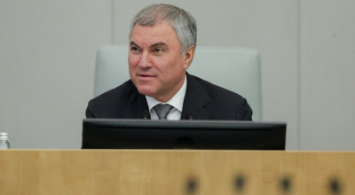 Володин хочет отправить педофилов на рудники