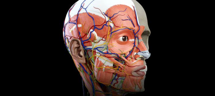 Интервью с доктором медицинских наук