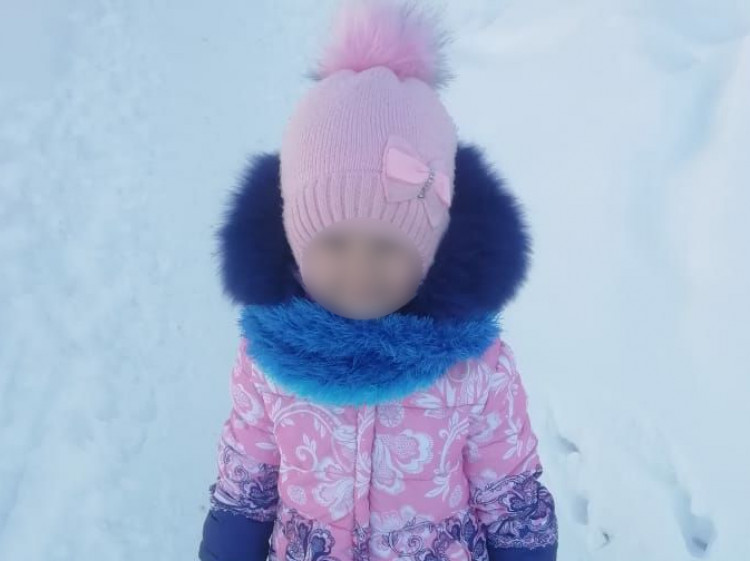 Фонд имени Вероники Николаевой