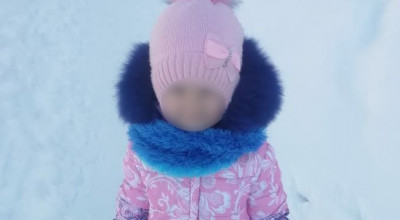 Фонд имени Вероники Николаевой