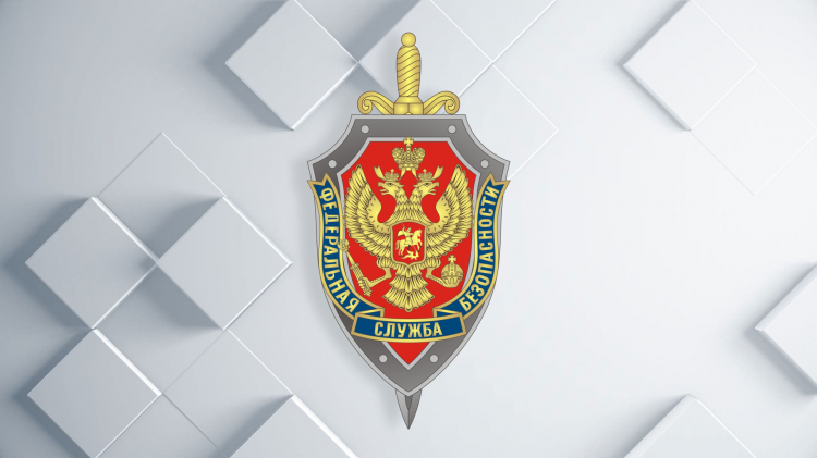 Бессрочное наблюдение за Анной Левченко