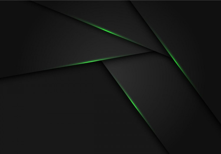 Спецоперация «Зелёный свет»