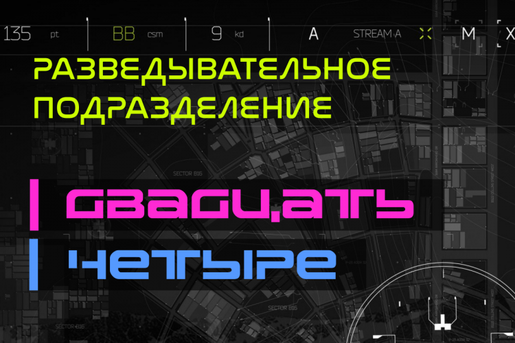 Разведывательное подразделение «Двадцать четыре»