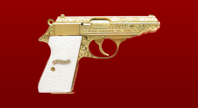 Президенту Российской Федерации В.В. Путину